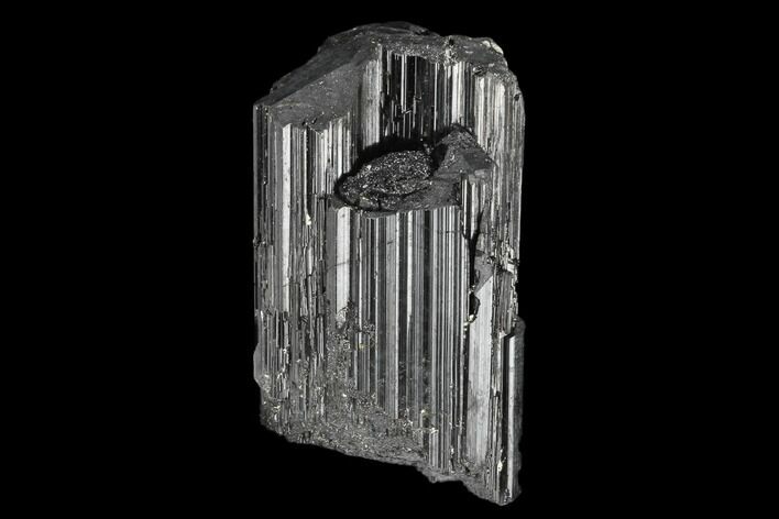 Terminated Black Tourmaline (Schorl) Crystal - Madagascar #174113